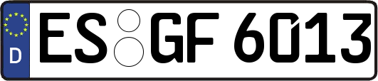 ES-GF6013