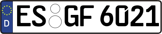 ES-GF6021