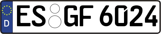 ES-GF6024