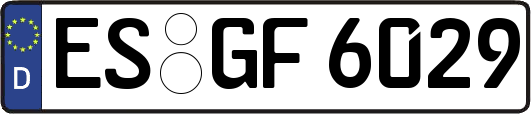 ES-GF6029