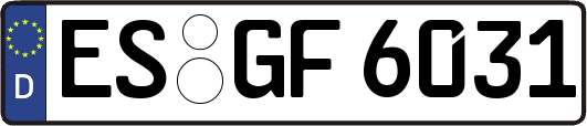 ES-GF6031