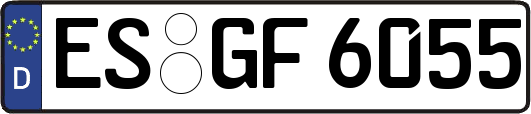ES-GF6055