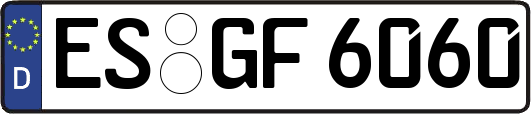 ES-GF6060