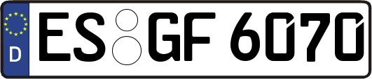 ES-GF6070