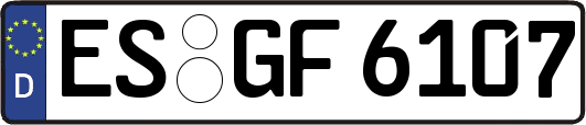 ES-GF6107