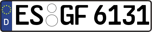 ES-GF6131