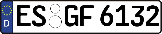 ES-GF6132