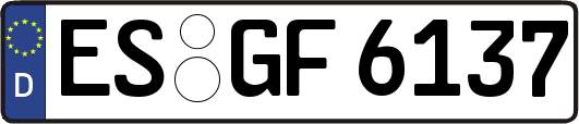 ES-GF6137