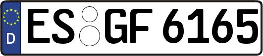 ES-GF6165
