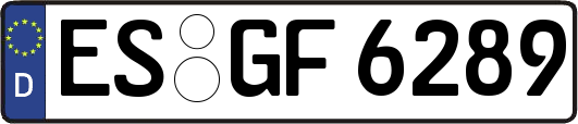 ES-GF6289