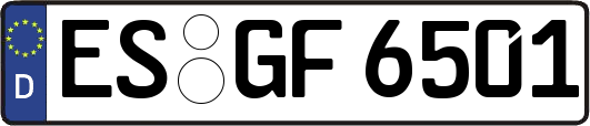 ES-GF6501