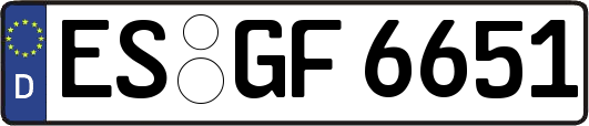 ES-GF6651