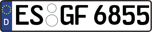 ES-GF6855