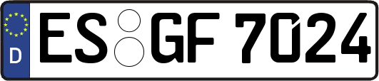 ES-GF7024