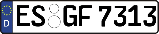 ES-GF7313