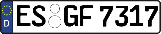 ES-GF7317
