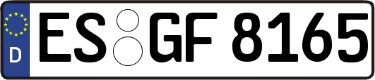 ES-GF8165