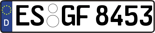 ES-GF8453