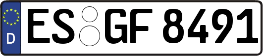 ES-GF8491