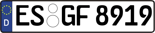 ES-GF8919