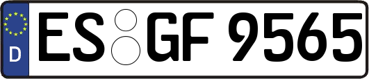 ES-GF9565