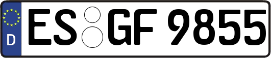 ES-GF9855