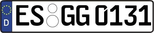 ES-GG0131