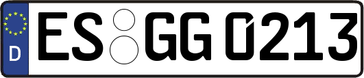 ES-GG0213