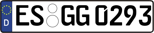 ES-GG0293