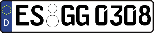 ES-GG0308