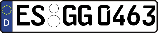 ES-GG0463