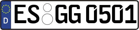 ES-GG0501