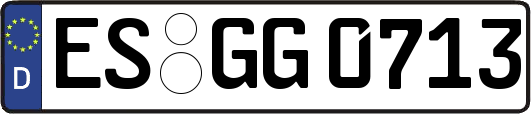 ES-GG0713