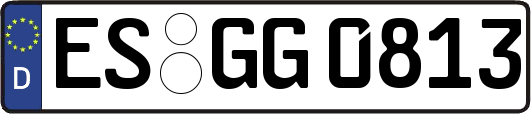 ES-GG0813