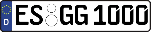 ES-GG1000