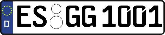ES-GG1001