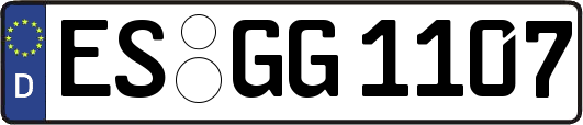 ES-GG1107