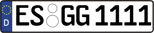 ES-GG1111