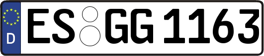ES-GG1163