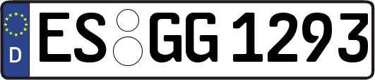 ES-GG1293