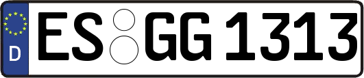 ES-GG1313