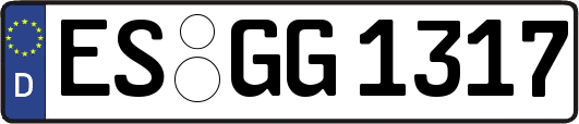 ES-GG1317