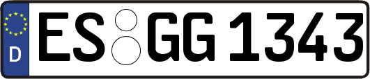 ES-GG1343
