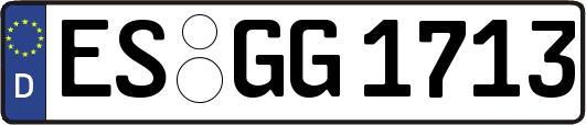 ES-GG1713