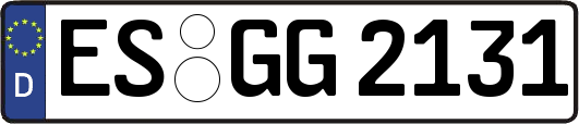ES-GG2131