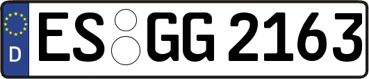 ES-GG2163