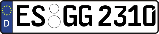 ES-GG2310