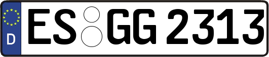 ES-GG2313