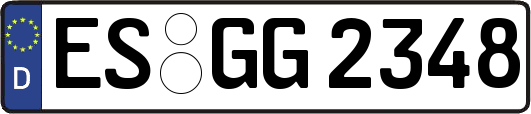 ES-GG2348