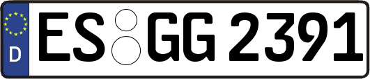 ES-GG2391